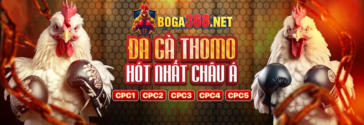 Hướng dẫn cài đặt ứng dụng 7789bet Casino